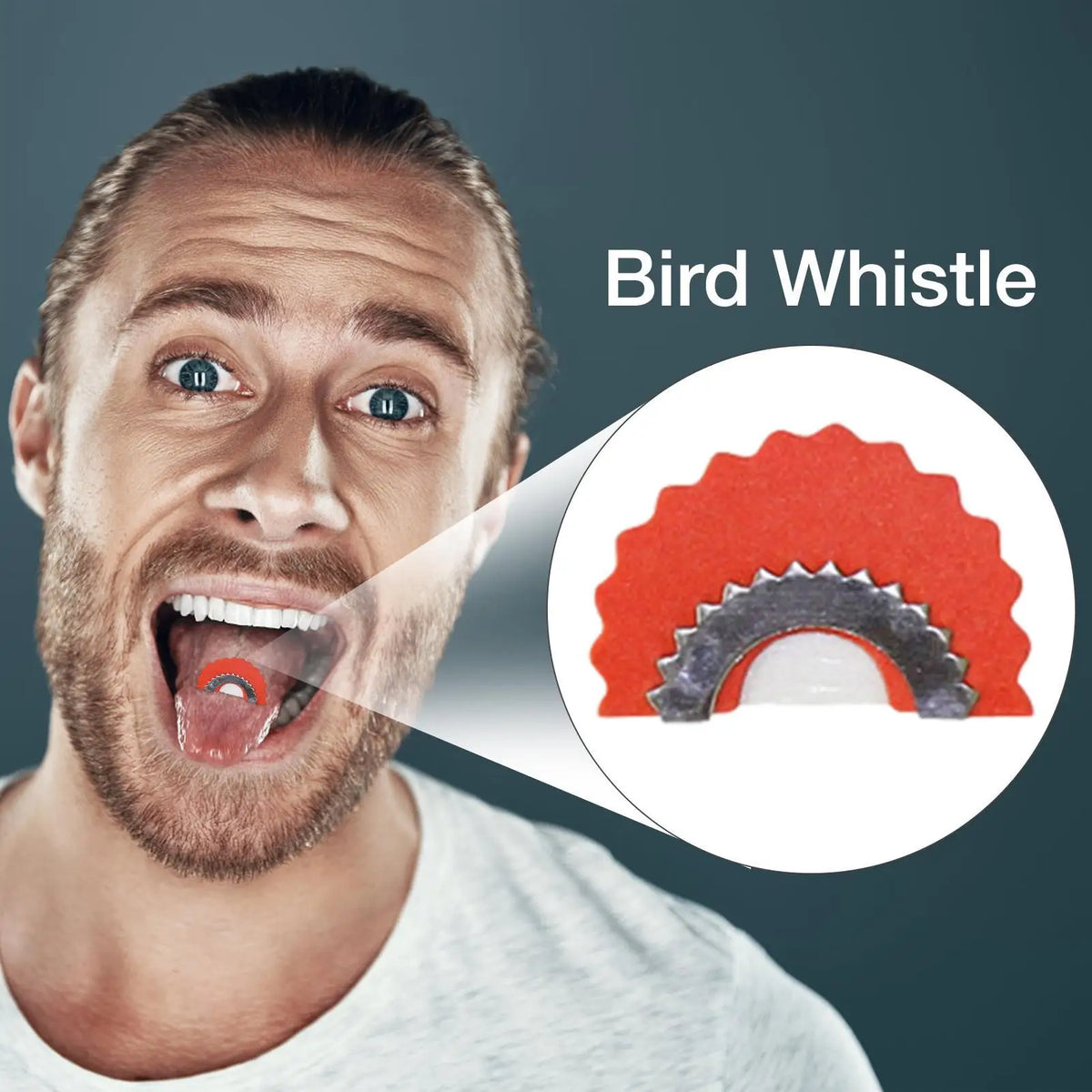 Bird Tongue Whistle 5-Pack – Fun Chirping Noise Maker Toy Novelty Whistle Toy Babs