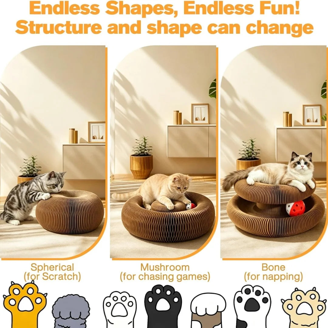 Foldable Accordion Cat Scratcher Board with Ball & Track Toy Cat Scratcher Toy Babs
