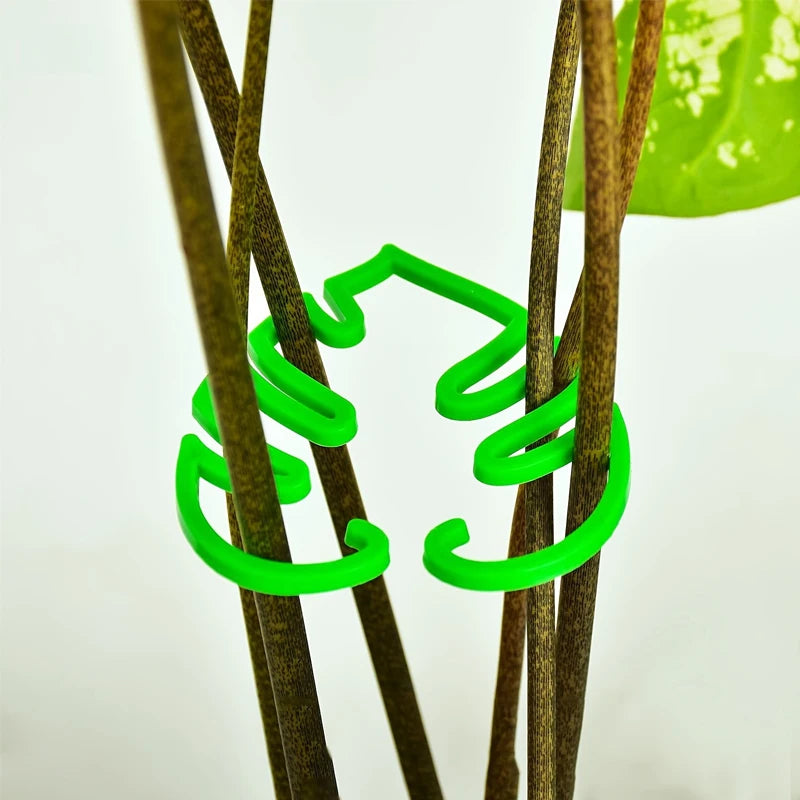 2PCS Turtle Shell Plant Stem Support Clips for Climbing Plants Plant Support Clips Babs