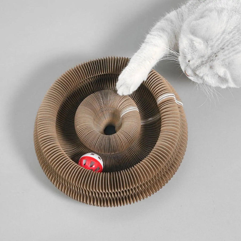 Cat Scratch Organ Board Toy with Ball – Corrugated Scratcher Cat Scratcher Toy Babs