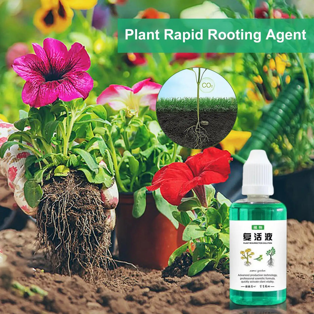 50ml Plant Nutrient Liquid – Root Booster & Growth Fertilizer Liquid Plant Fertilizer Babs