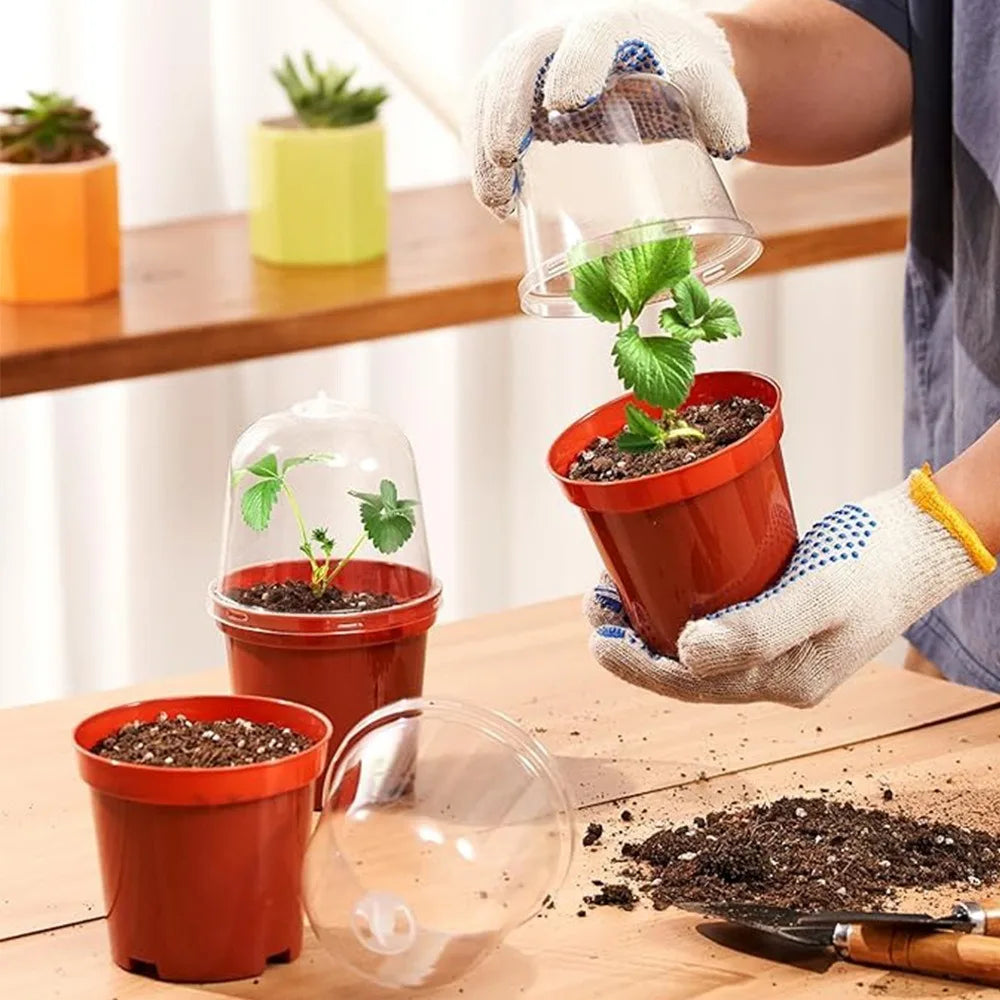 18-Pc Plant Nursery Pots with Humidity Dome Lids – Clear PET Nursery Pot Set Babs
