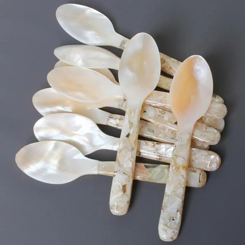 Conch Shell Spoon 15cm – Dessert, Coffee & Dinner Spoon Decorative Dining Spoon Babs