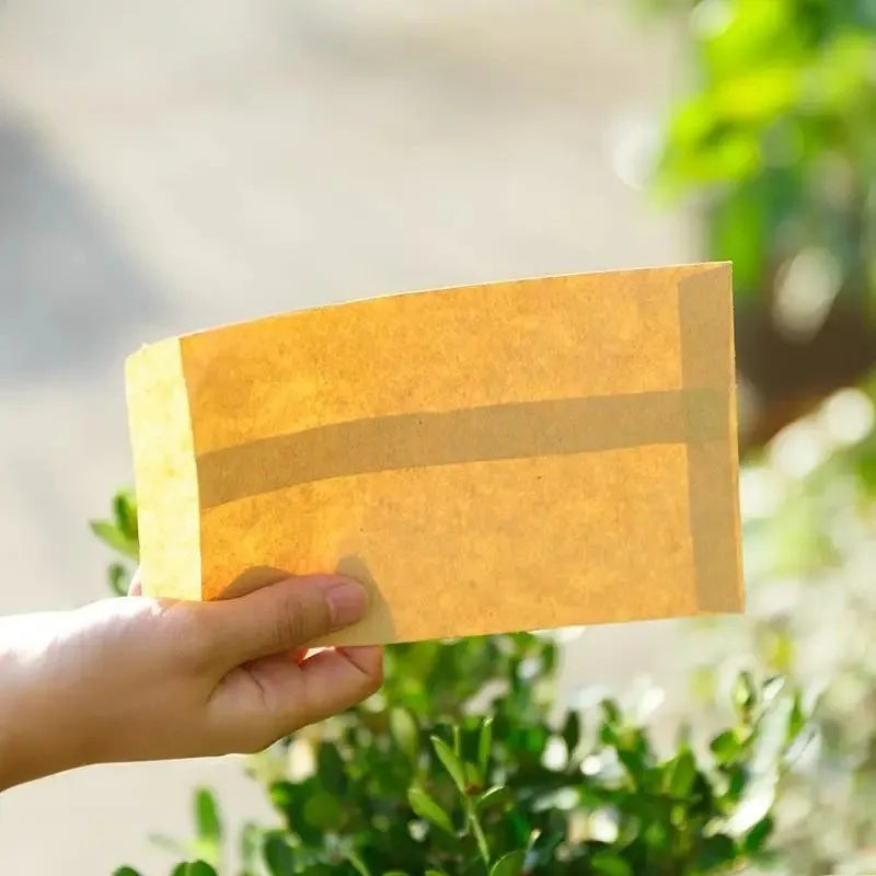 100Pcs Kraft Paper Seed Bags 6x10cm Eco Envelope Pouches Seed Storage Bags Babs