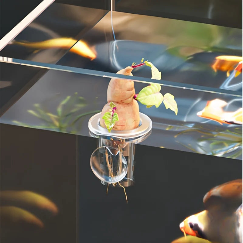 5-Pack Clear Aquarium Planting Cups with Suction Base Aquarium Planting Cups Babs