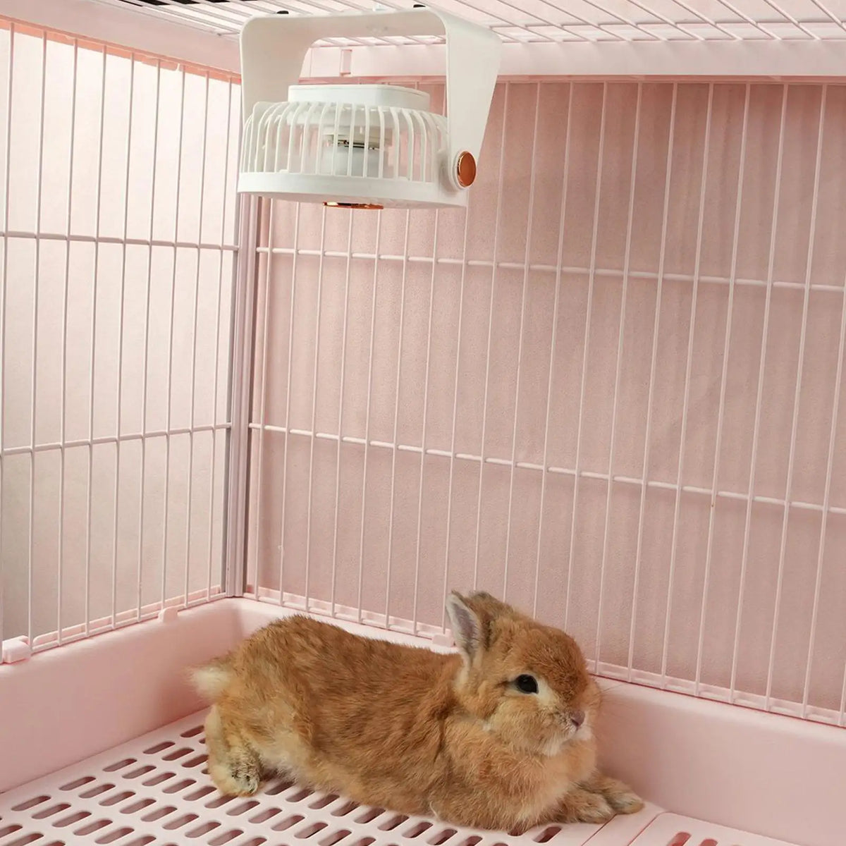 USB Rechargeable Pet Cage Fan for Hamsters, Bunnies & More Pet Cage Fan Babs