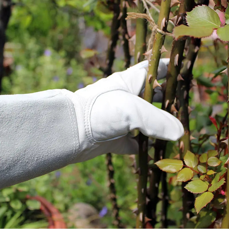 Thorn Proof Leather Gardening Gloves – Waterproof, Elbow Length Gardening Gloves Babs