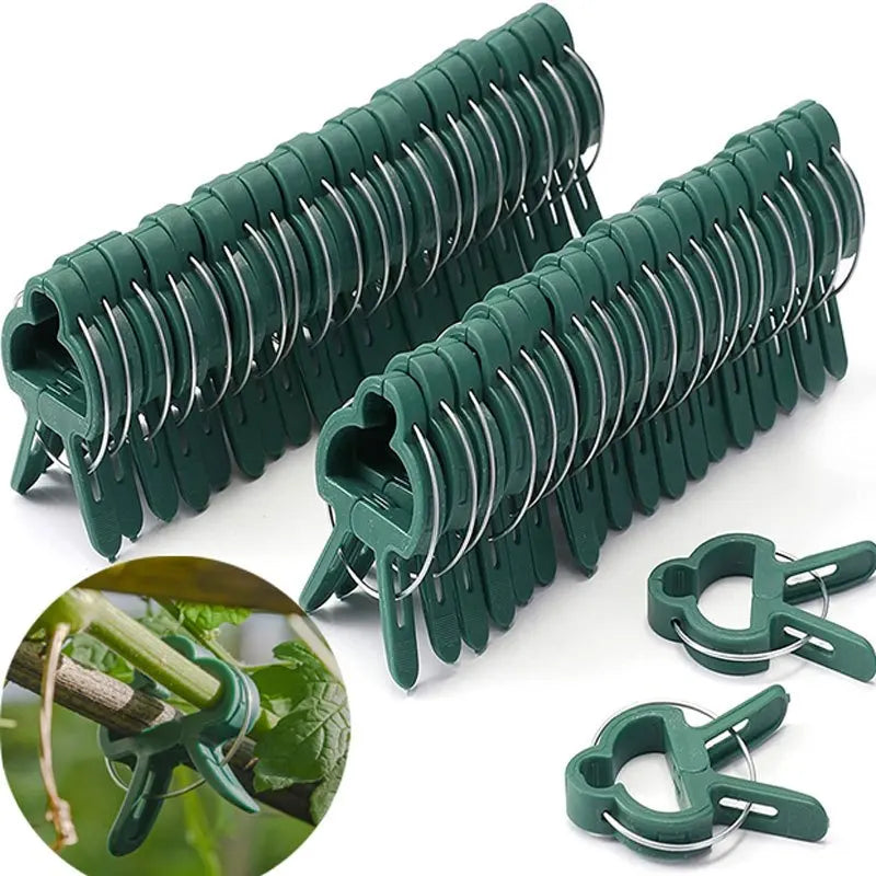 20Pcs Reusable Plant Support Clips for Vines, Stems & Seedlings Plant Support Clips Babs