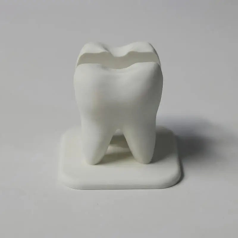 Tooth-Shaped Business Card Holder – Dental Desk Organizer Business Card Holder Babs
