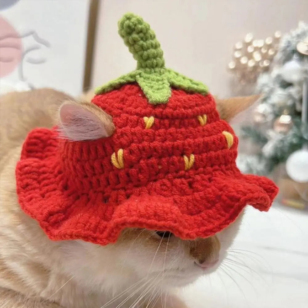 Crochet Frog Hat for Cats & Dogs – Cute Pet Party Photo Prop Pet Costume Hat Babs S-strawberry