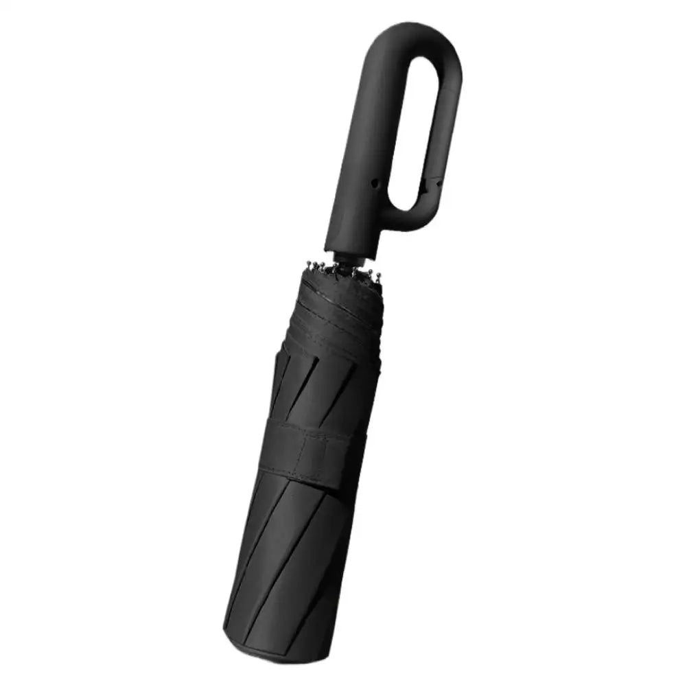 10-Rib Auto Folding Umbrella – UPF 50+, Windproof, Compact Compact Folding Umbrella Babs D