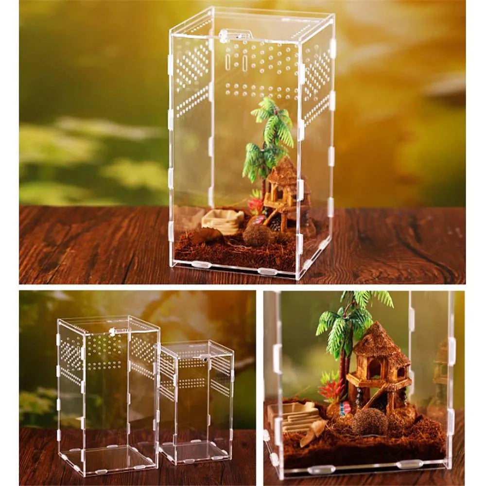 Acrylic Reptile Breeding Box – Snake, Lizard & Insect Terrarium Reptile Breeding Box Babs