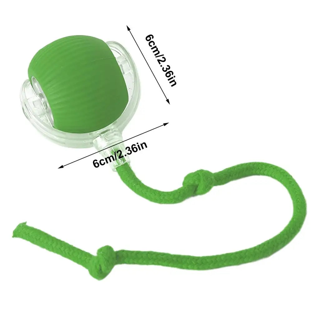 Automatic Rolling Interactive Cat Ball Toy – Rechargeable Interactive Cat Toy Babs Green