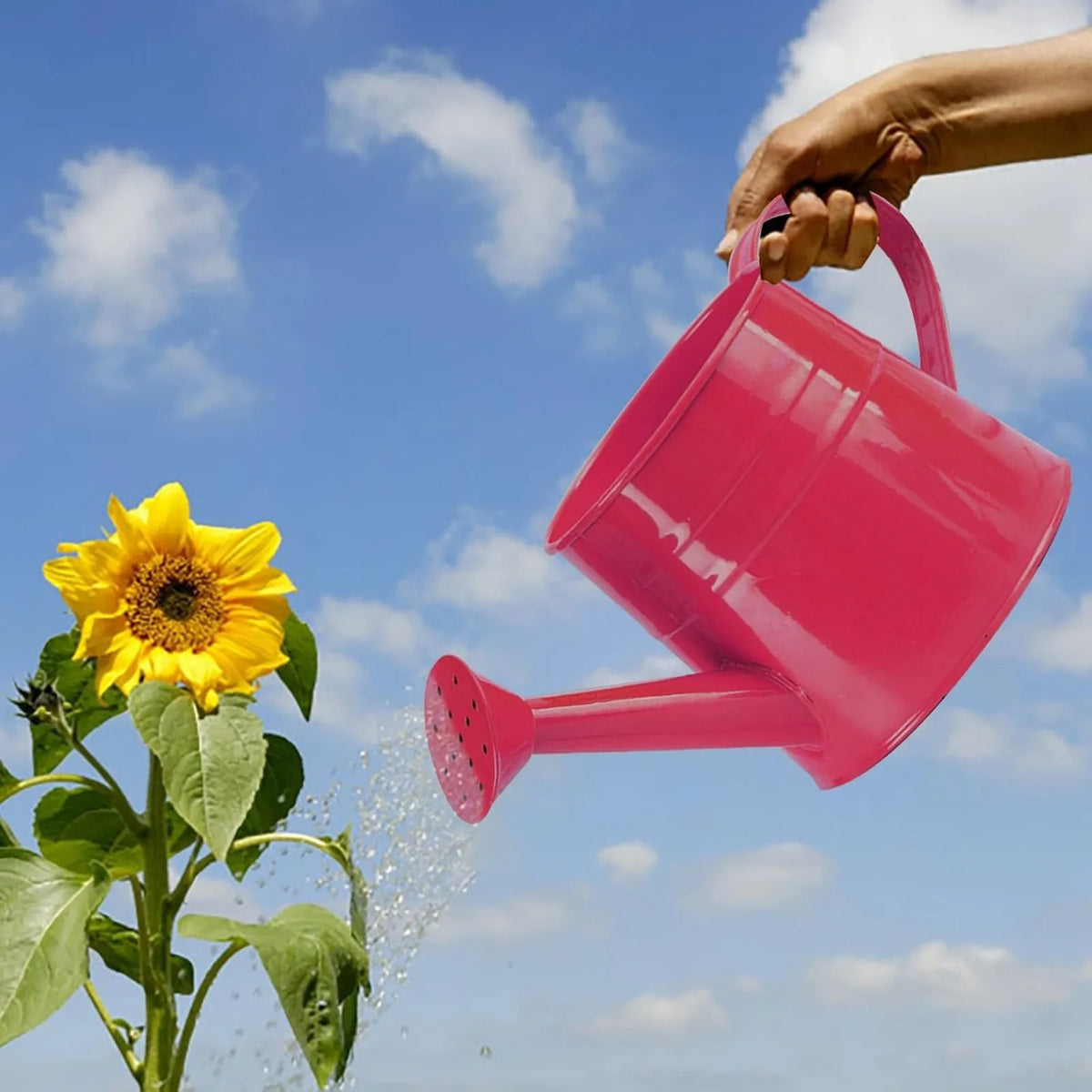 Metal Garden Watering Can – Extended Nozzle, Indoor & Outdoor Garden Watering Can Babs