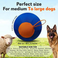 Herding Ball for Dogs – Large Inflatable Interactive Dog Toy Inflatable Dog Toy Babs 1pcs