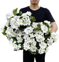 Artificial Silk Begonia Flowers – Home, Wedding & Garden Decor Artificial Flower Bouquet Babs WHITE 1 pc