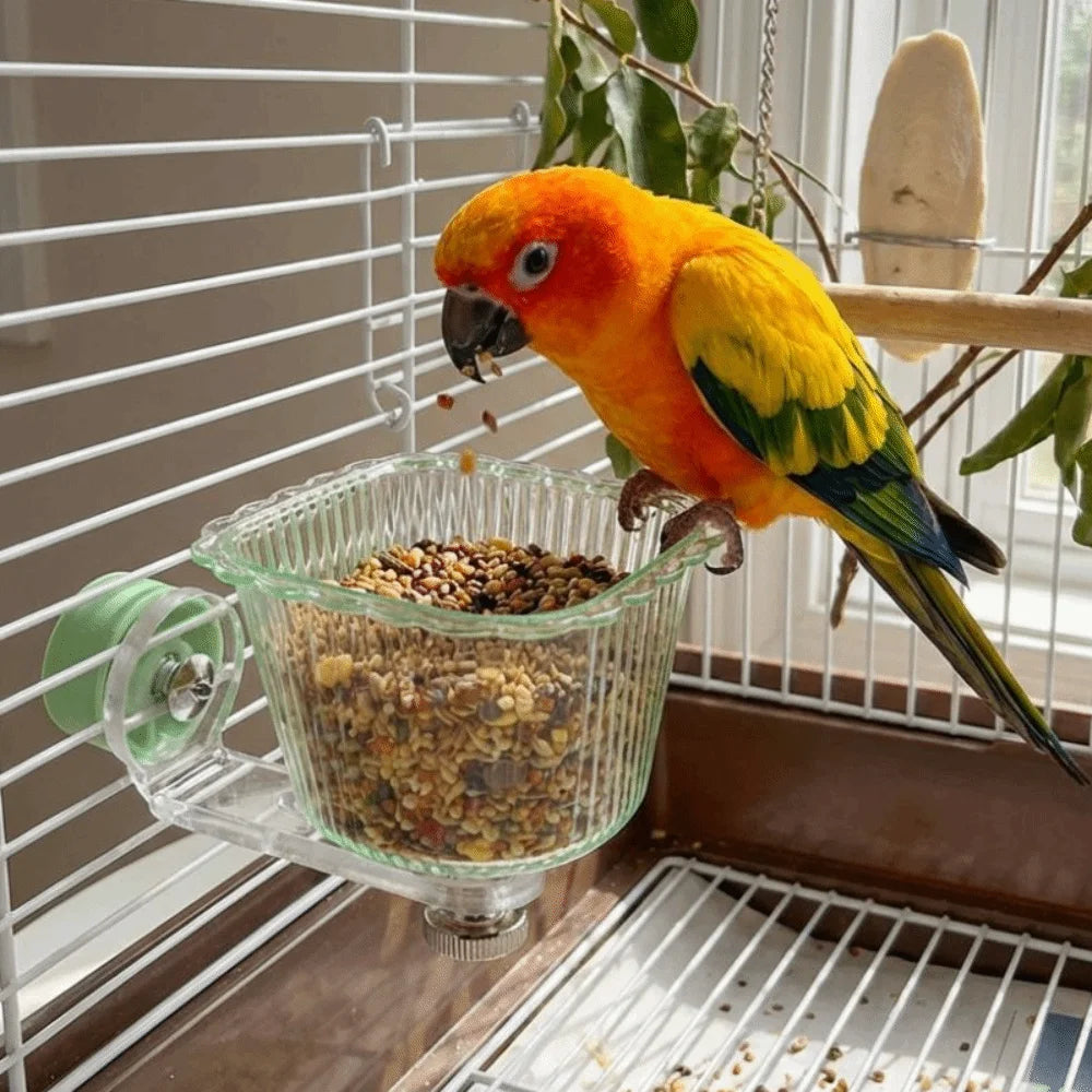 Magnetic Bird Feeder Cage Bowl – Transparent Anti-Splash Bird Cage Feeder Babs
