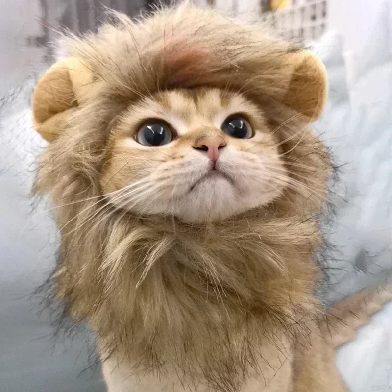 Lion Mane Pet Hat – Cat & Dog Halloween Christmas Costume Pet Costume Hat Babs