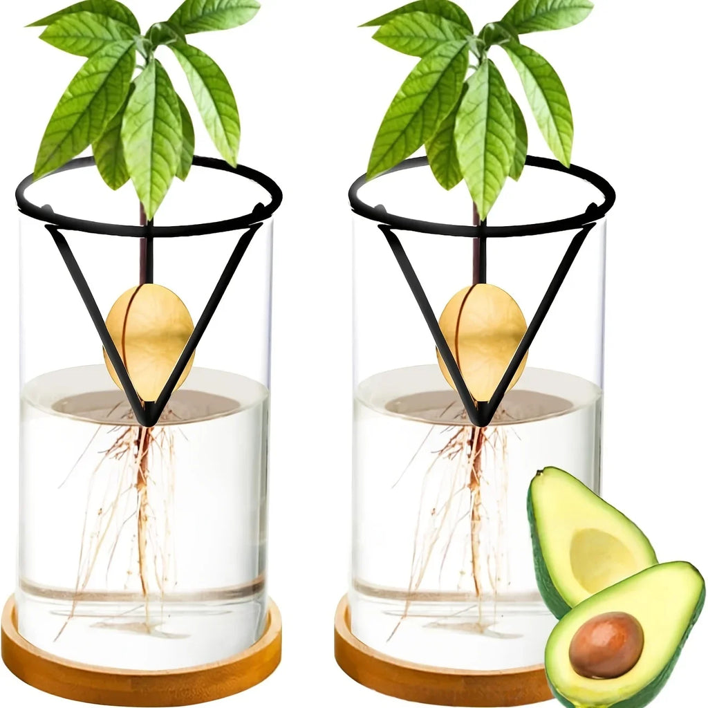 2Pcs Cone Hydroponic Seedling Planter Pots – Suspended Seed Holder Hydroponic Seedling Planter Babs