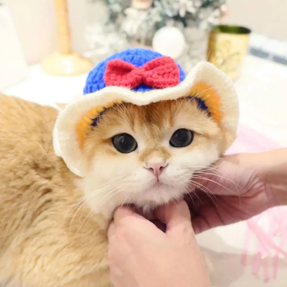 Crochet Frog Hat for Cats & Dogs – Cute Pet Party Photo Prop Pet Costume Hat Babs M-princess