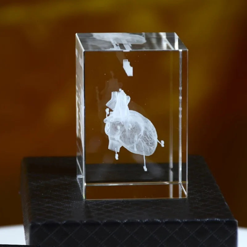 3D Laser Engraved Crystal Heart Cube – Anatomical Figurine Gift Crystal Figurine Babs
