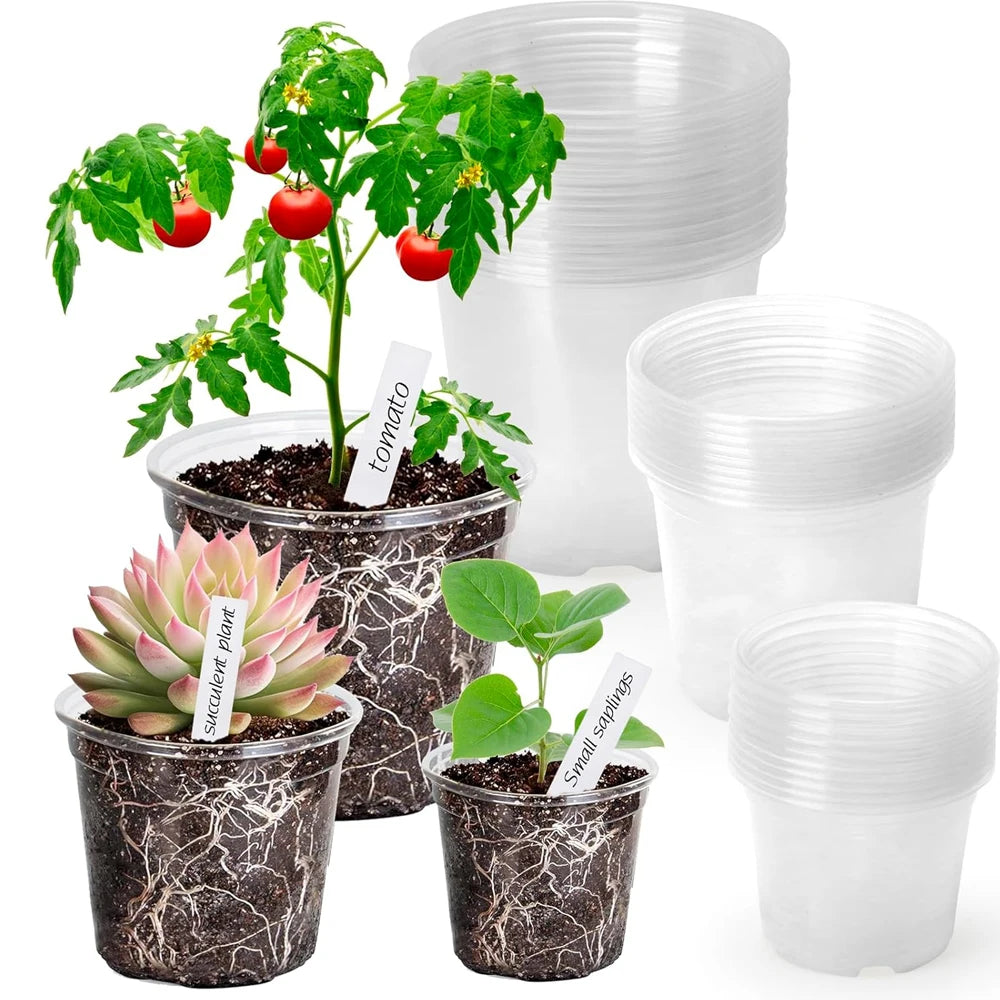Clear Nursery Pots with Drainage – Transparent Variety Pack Nursery Pots Babs