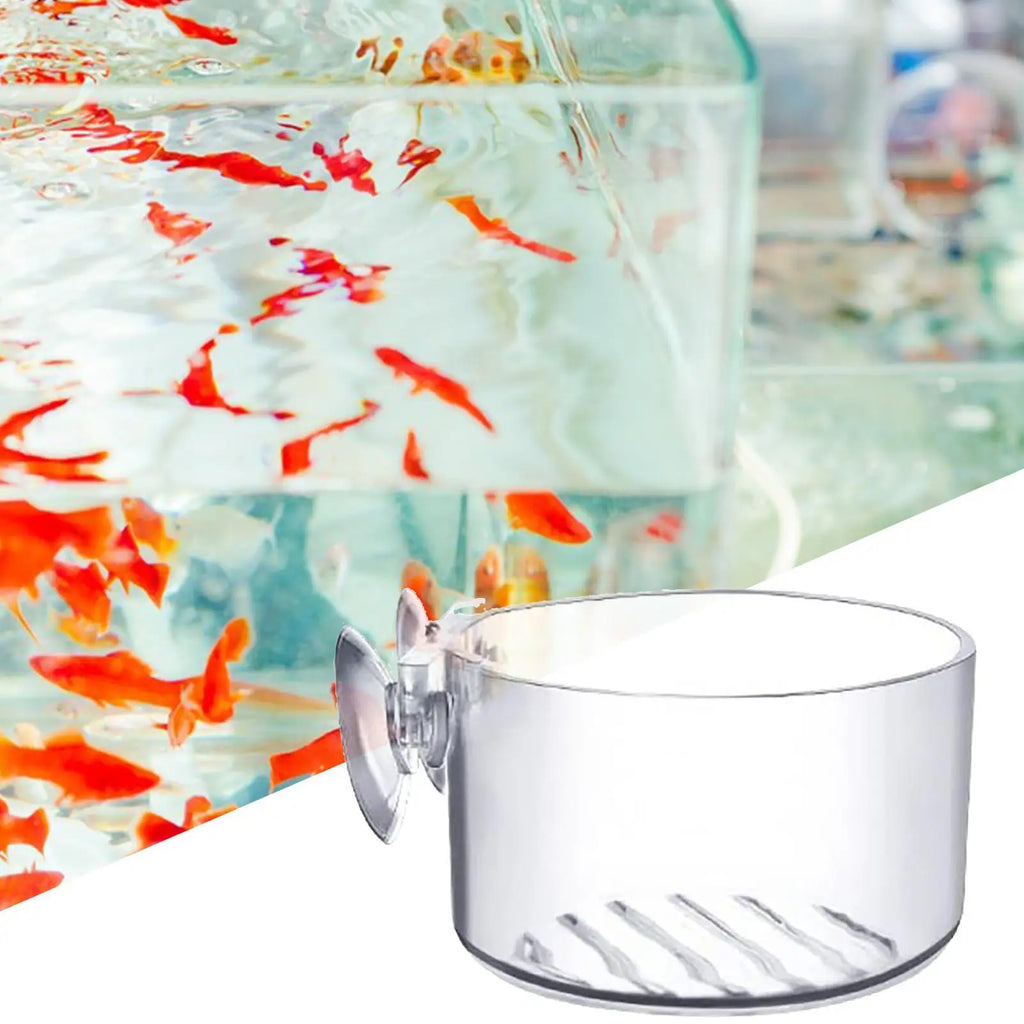 Acrylic Aquarium Plant Cup with Suction Holder | Fish Tank Pot Aquarium Plant Holder Babs