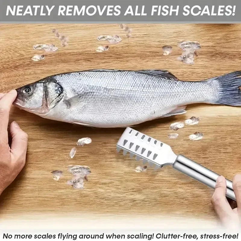 Multi-Purpose Kitchen Scraper – Fish, Ginger & Veggie Tool Kitchen Scraper Babs