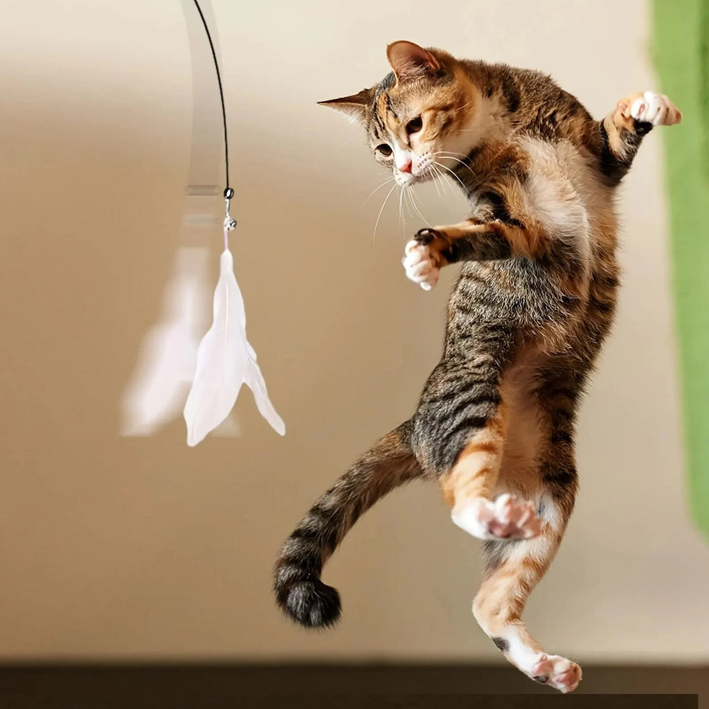 Cat Teaser Wand Suction Cup Self-Play Feather Toy Cat Feather Toy Babs