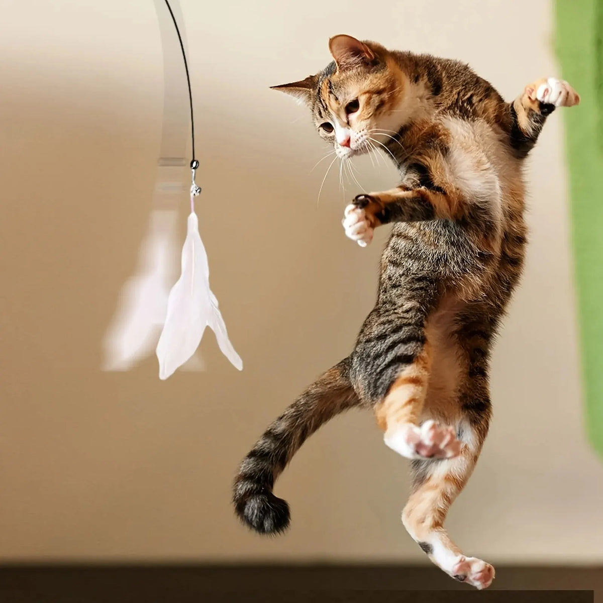 Cat Teaser Wand Suction Cup Self-Play Feather Toy Cat Feather Toy Babs