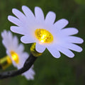 Solar Daisy LED Garden Lawn Light – Outdoor Flower Decor Solar Garden Light Babs Warm Light Green Pole 6 Lights