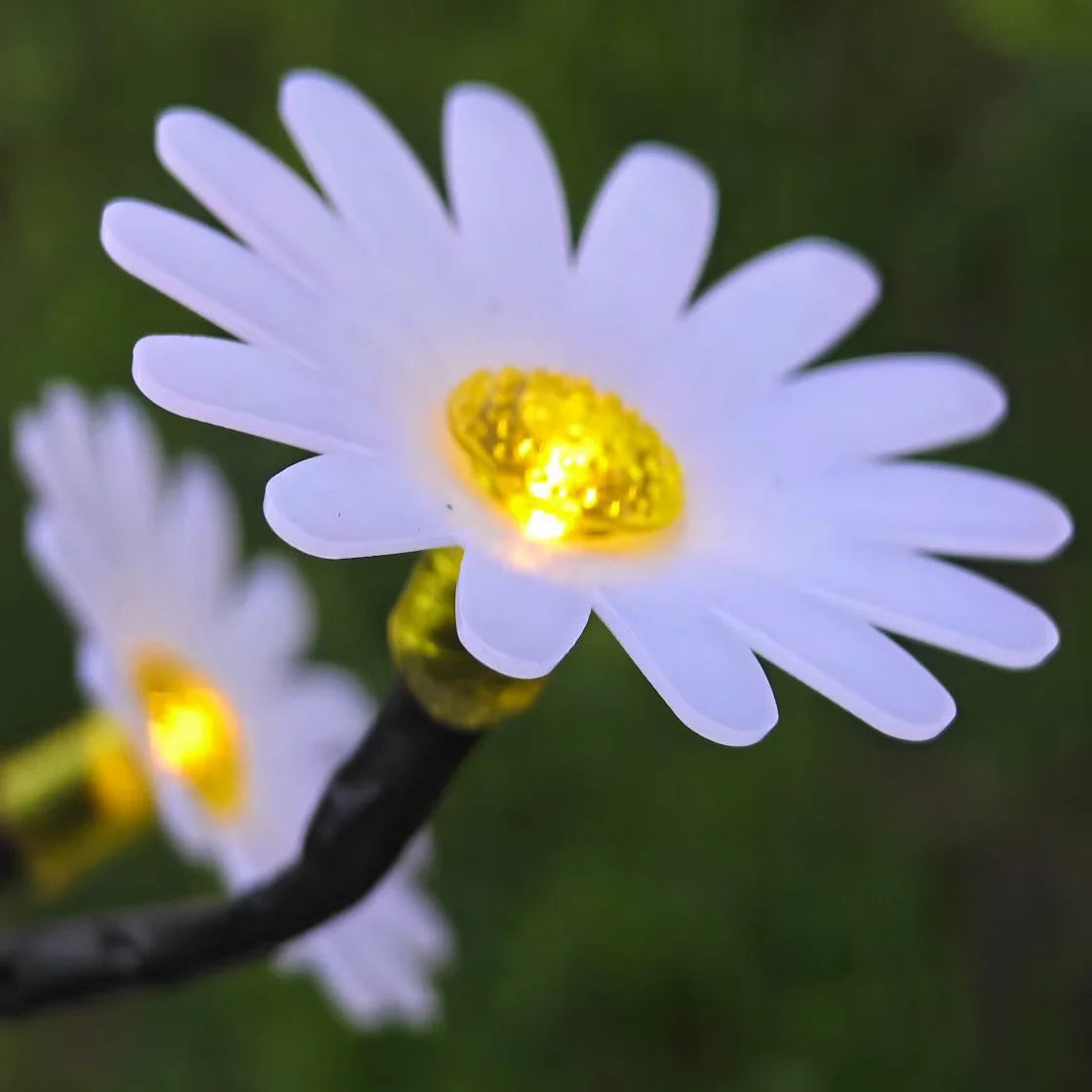 Solar Daisy LED Garden Lawn Light – Outdoor Flower Decor Solar Garden Light Babs Warm Light Green Pole 6 Lights