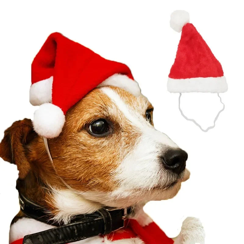 Festive Pet Santa Hat – Plush Christmas Cap for Dogs & Cats Pet Holiday Costume Babs