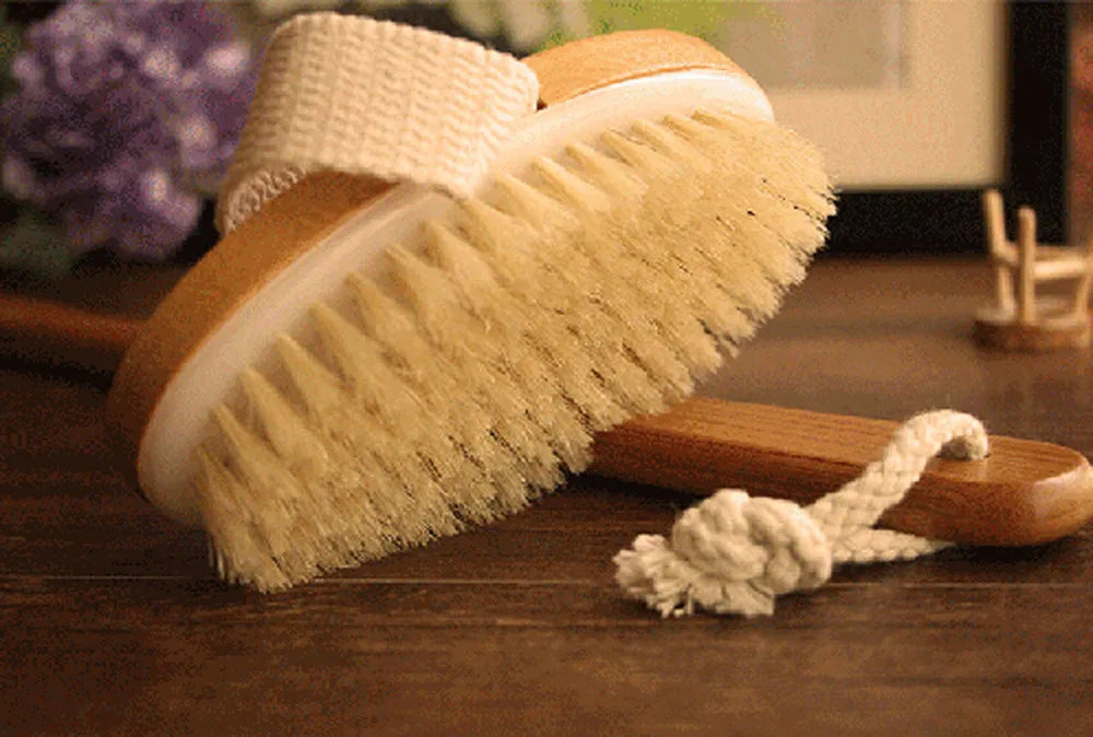 Wooden Long Handle Body Shower Brush – Exfoliating & Massage Body Shower Brush Babs