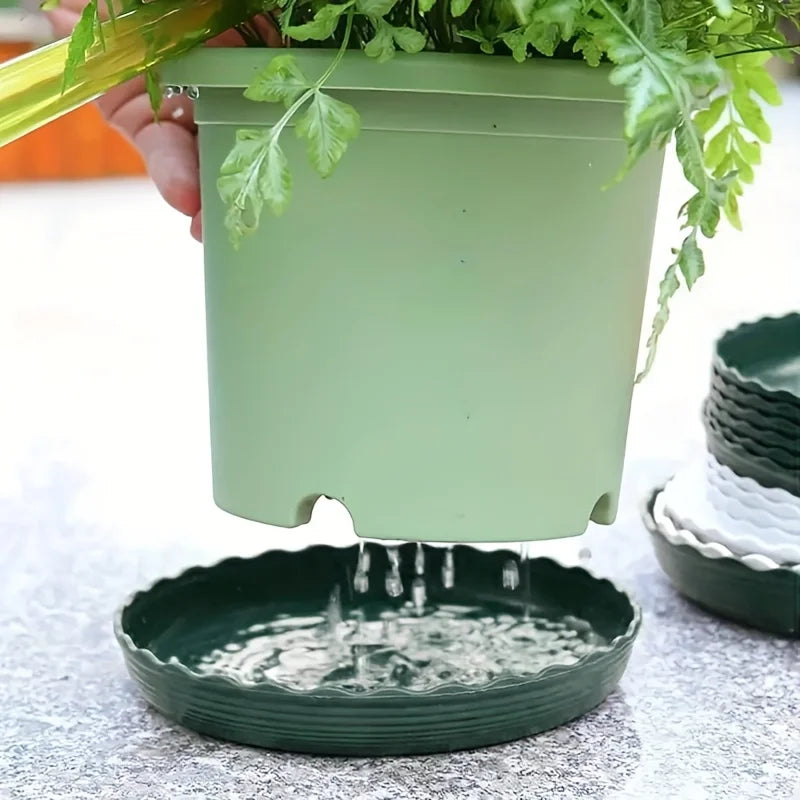 4-Pack Flower Pot Drip Trays for Succulents & Indoor Plants Plant Drip Trays Babs