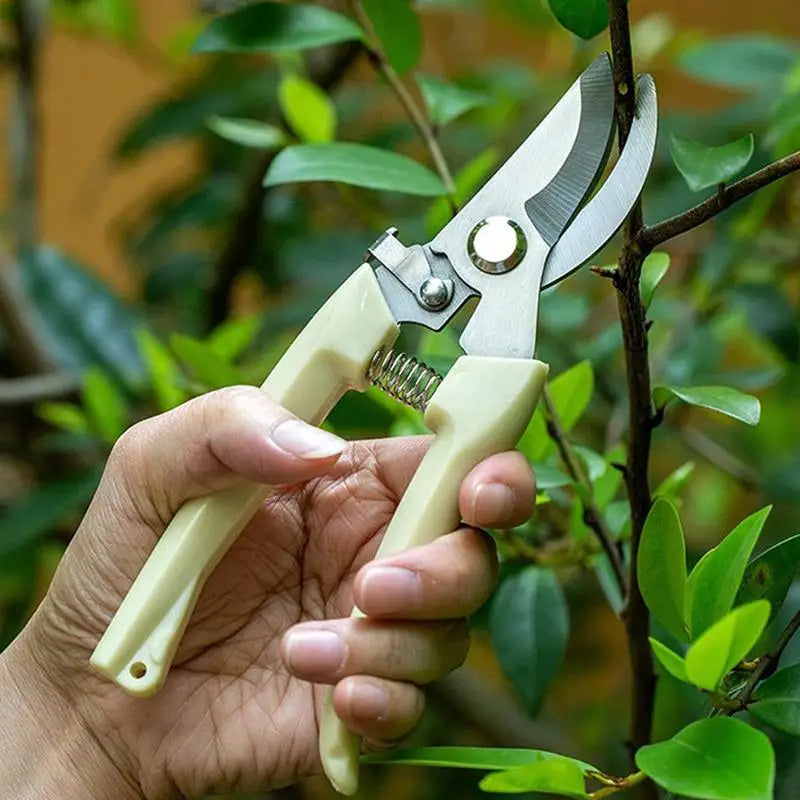 Professional Pruning Shears – Stainless Steel Garden Scissors Pruning Shears Babs