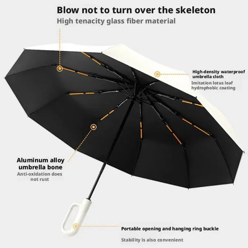 10-Rib Auto Folding Umbrella – UPF 50+, Windproof, Compact Compact Folding Umbrella Babs
