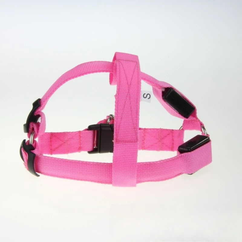 LED Light-Up Dog Leash Harness | USB Rechargeable Glow Walk LED Dog Leash Babs pink Rechargeable version 1