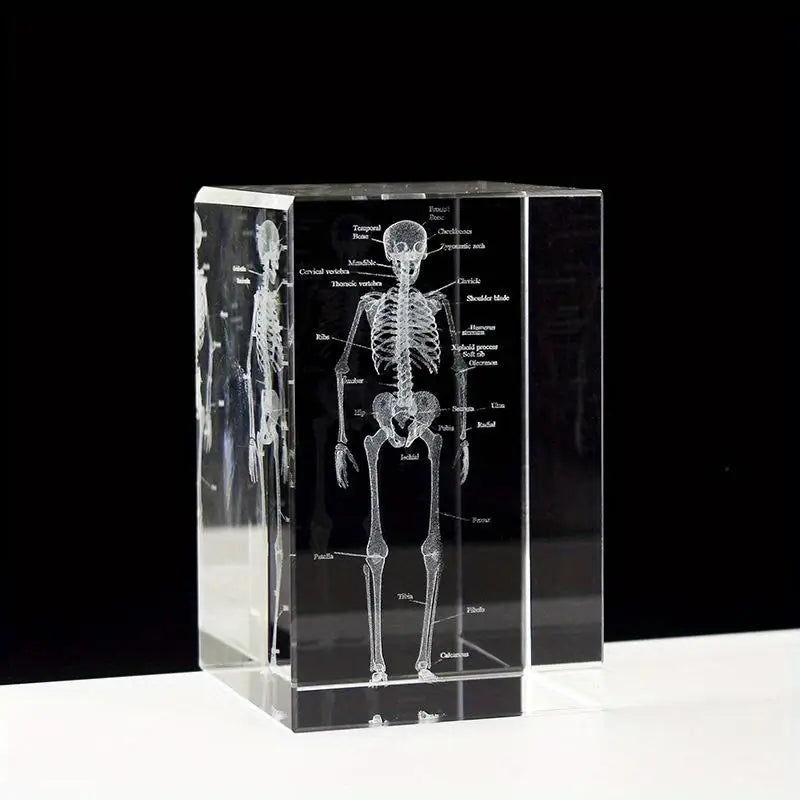 3D Laser Engraved Crystal Skeleton Cube Human Anatomy Paperweight Crystal Engraved Paperweight Babs