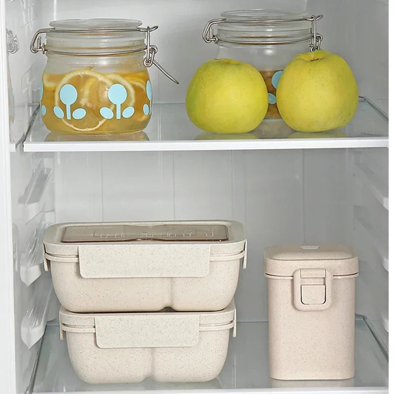 Wheat Straw Bento Lunch Box – BPA Free & Microwave Safe Bento Lunch Box Babs
