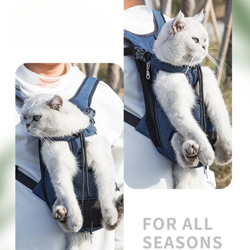 Breathable Mesh Pet Carrier Backpack – Small Dogs & Cats Pet Carrier Backpack Babs