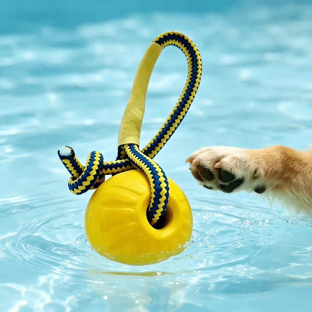 Floating Dog Water Fetch Toys – Bumpers for Lake, Beach & Pool Dog Water Toy Babs