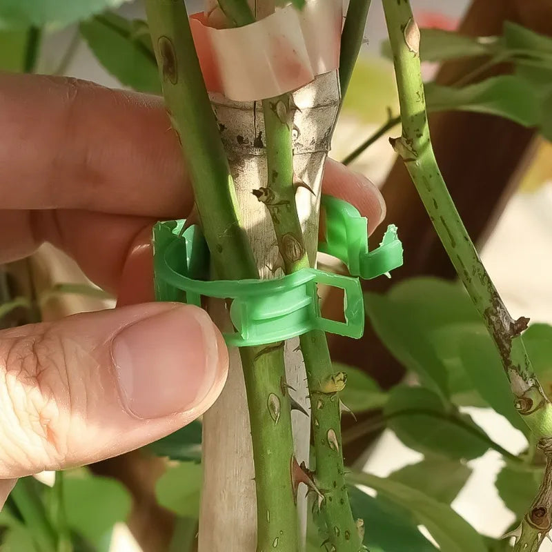 200Pcs Plant Support Clips for Vines, Tomatoes & Climbing Plants Garden Plant Clips Babs