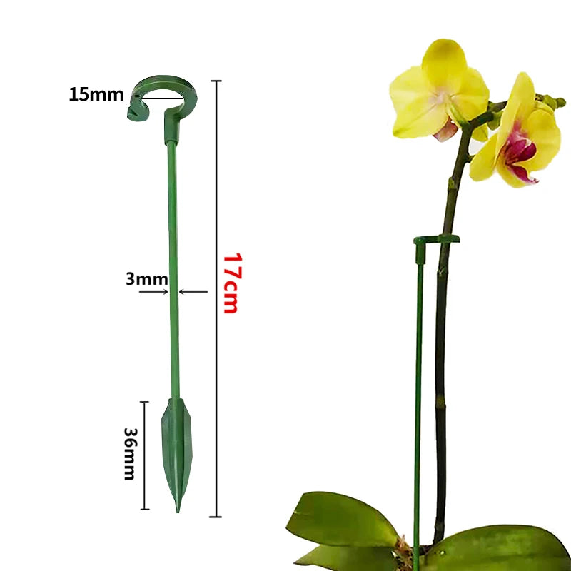 Plastic Plant Stem Supports – Reusable Flower Stakes 2/5/10 Pack Plant Stem Supports Babs 17cm 15pcs