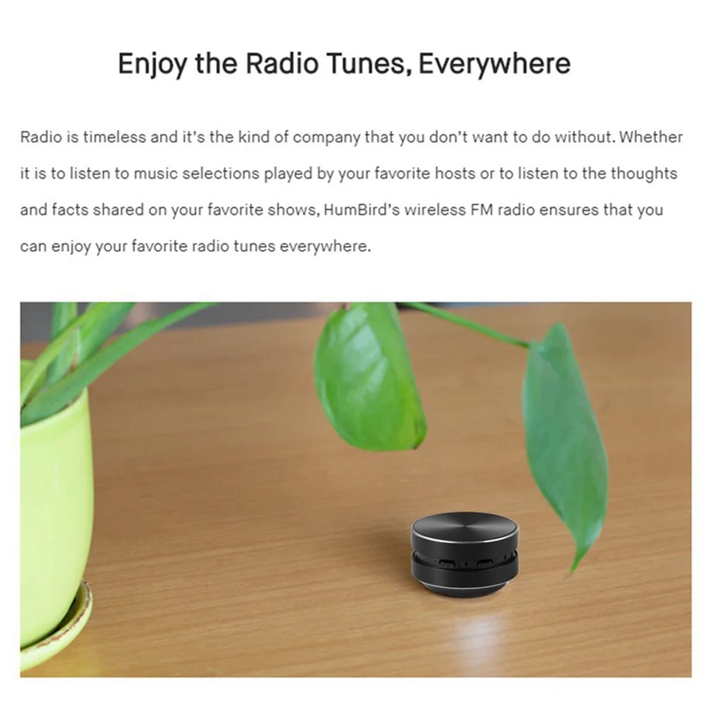 Portable Bone Conduction Bluetooth Speaker – Stereo Silver Bluetooth Speaker Babs