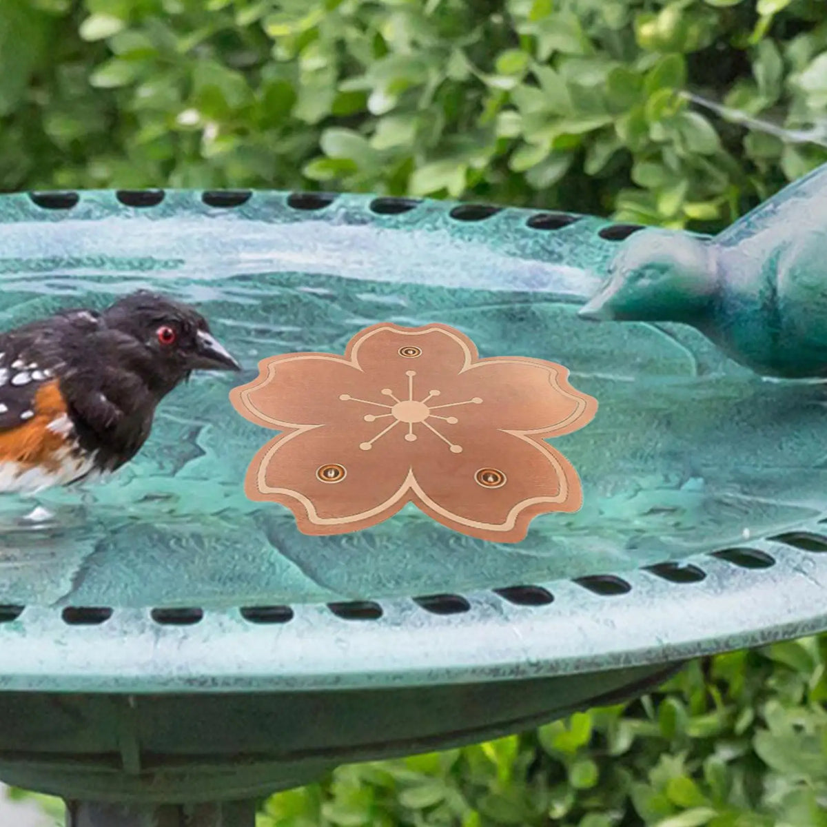 Copper Bird Bath Purification Disk – 3-Point Support Plate Bird Bath Disk Babs