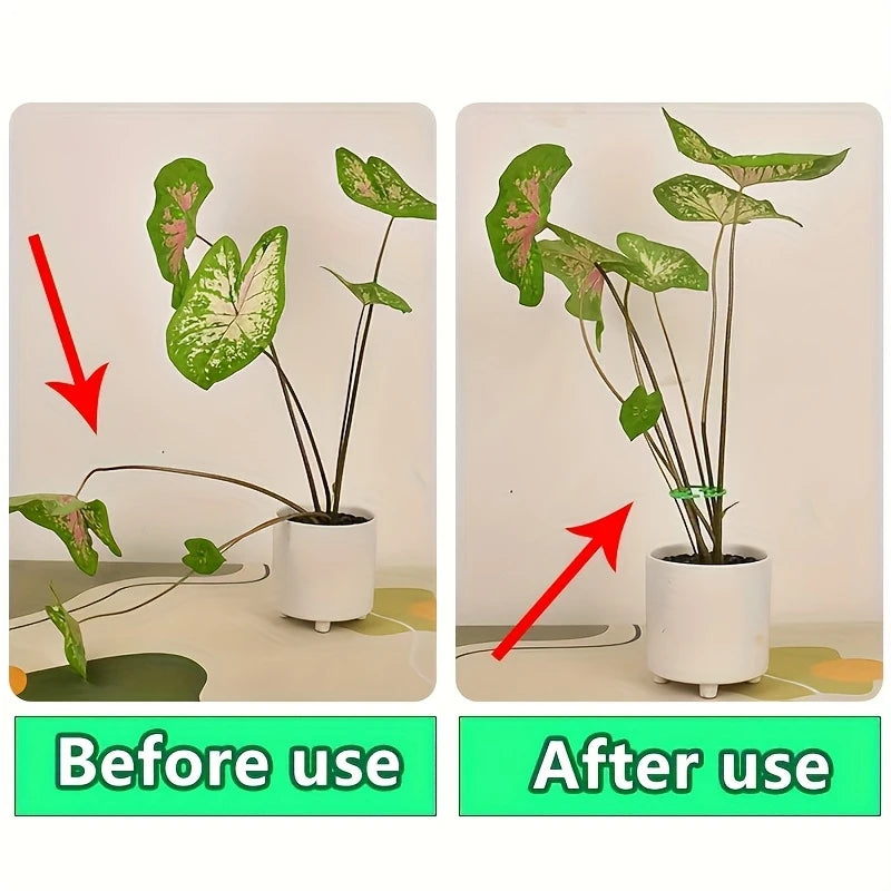 2PCS Turtle Shell Plant Stem Support Clips for Climbing Plants Plant Support Clips Babs