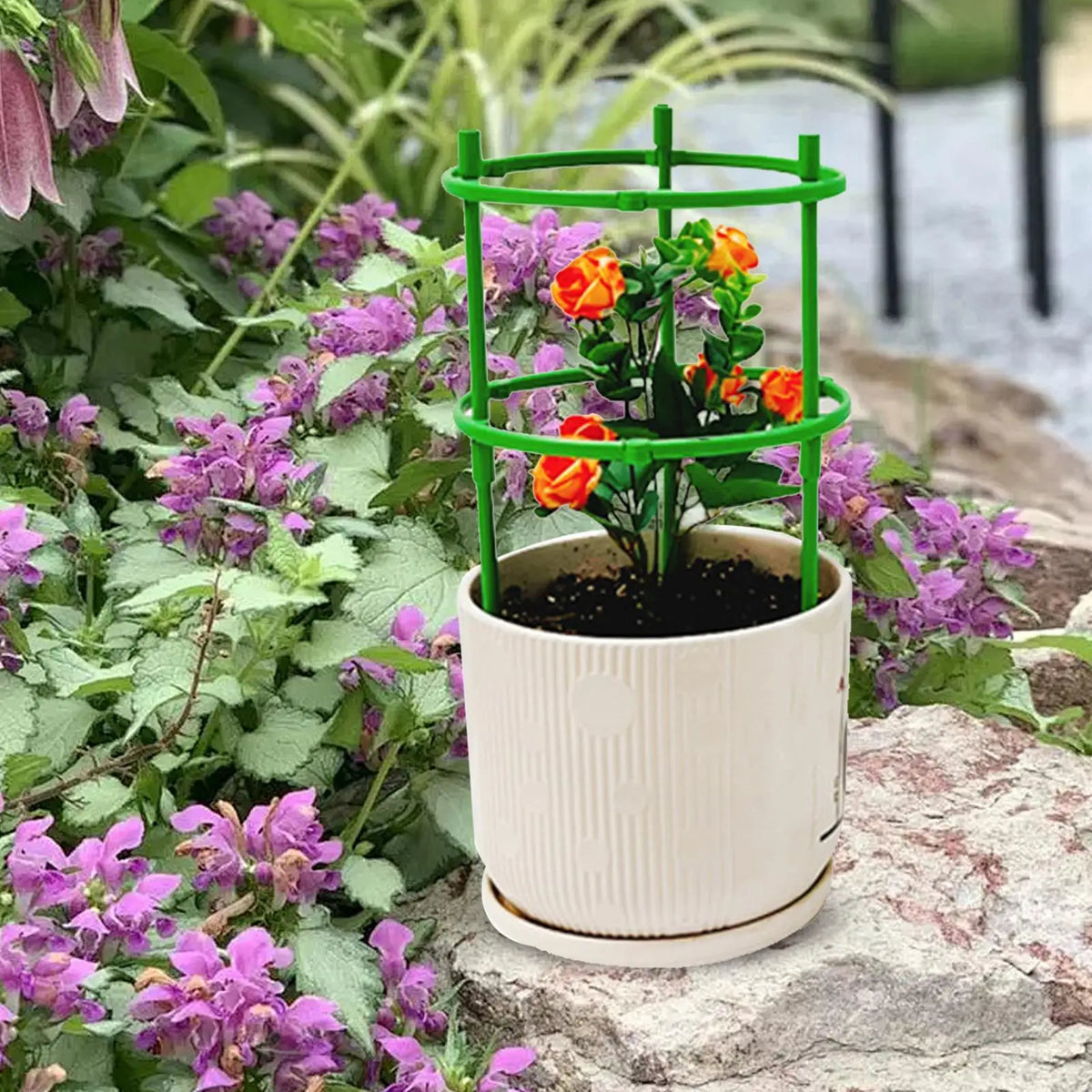 Plant Support Cage – Semicircle Vine Climbing Bracket Plant Support Cage Babs