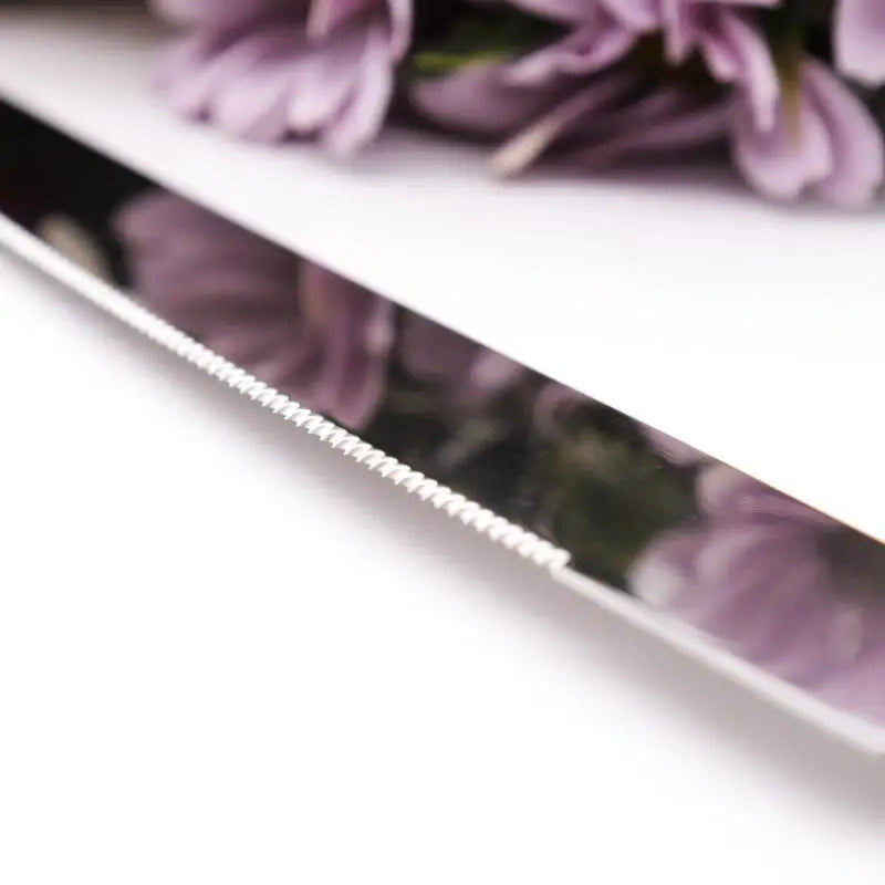 2pc Faux Crystal Cake Knife & Server Set for Weddings Cake Knife Server Set Babs