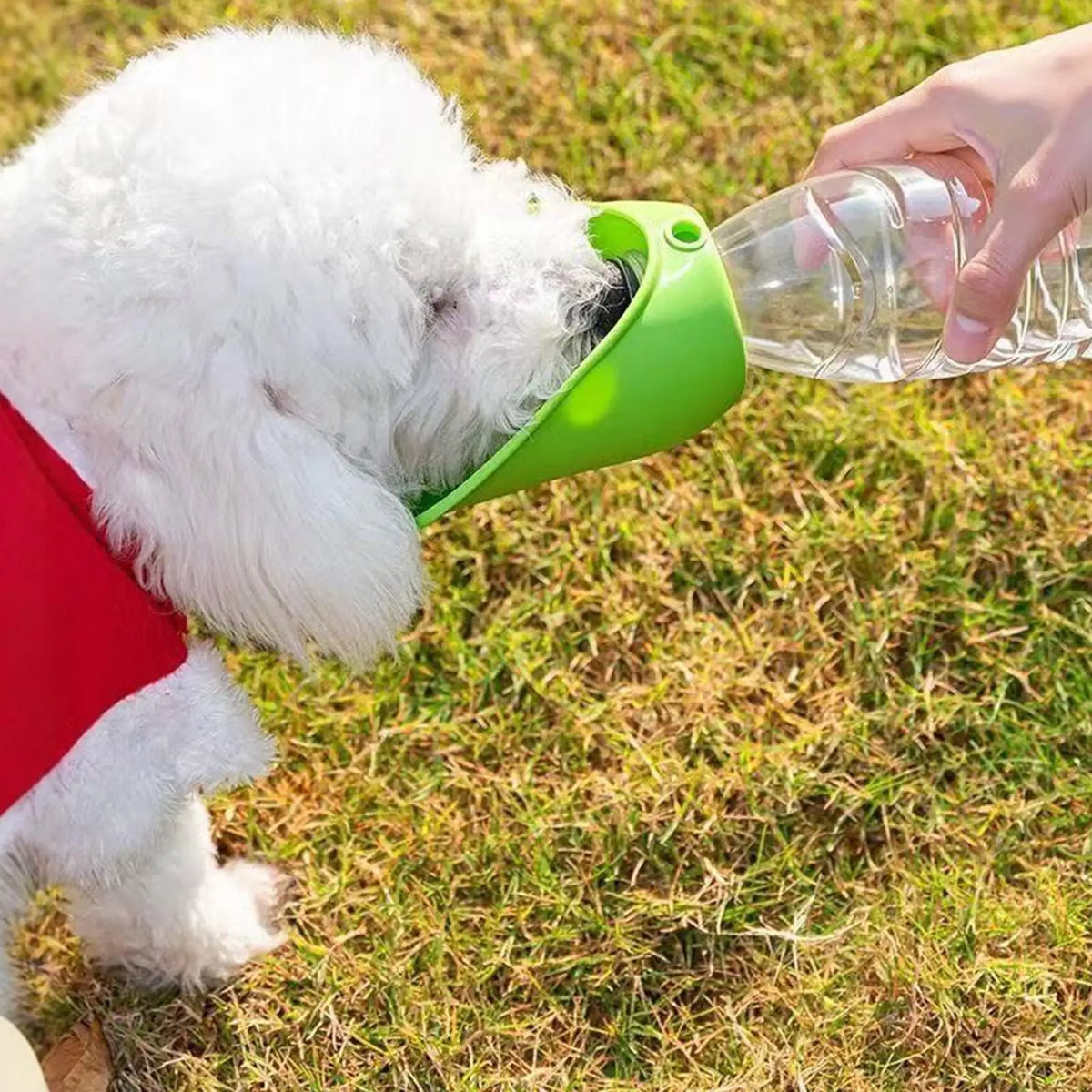 Foldable Pet Travel Water Bottle with Removable Bowl Pet Travel Water Bottle Babs